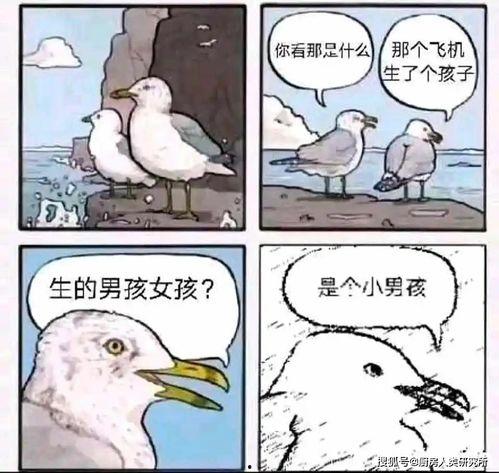 手拿大小姐剧本后我不伺候了,揭秘大小姐的逆袭之路